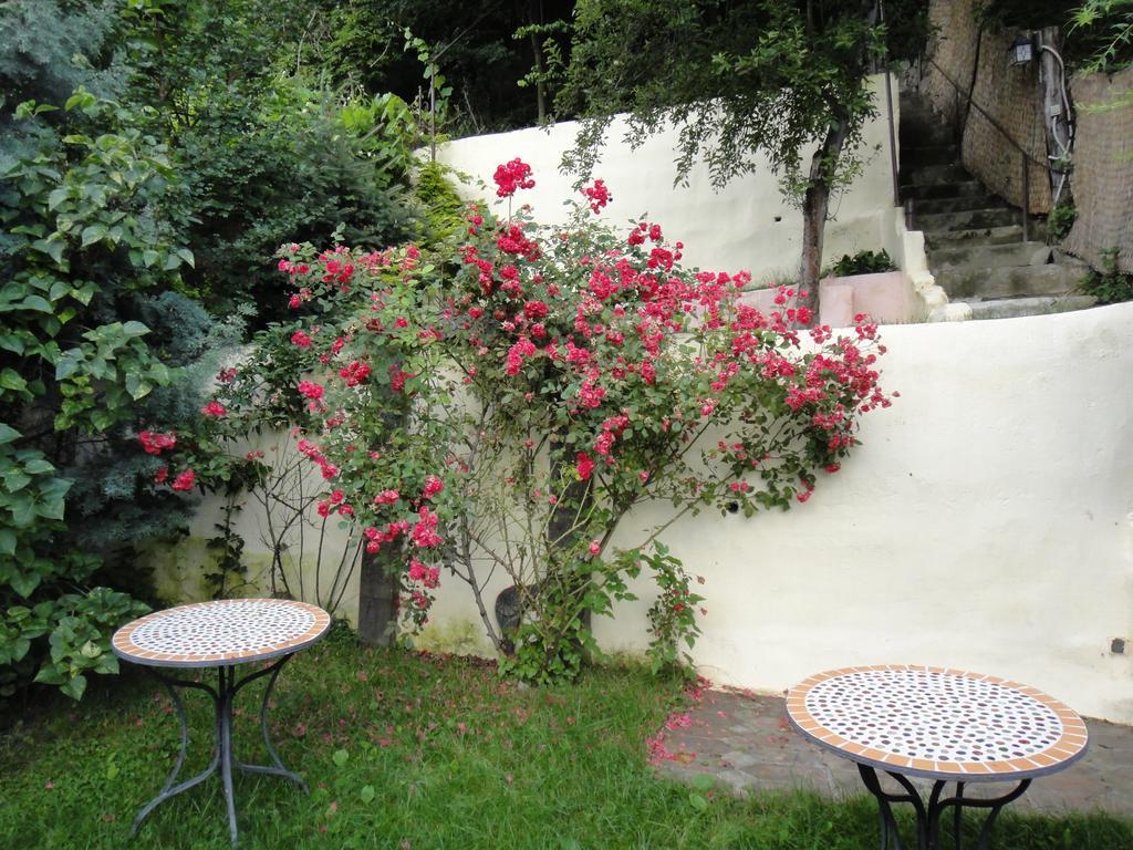Dominic Boutique Daire Sighişoara Oda fotoğraf